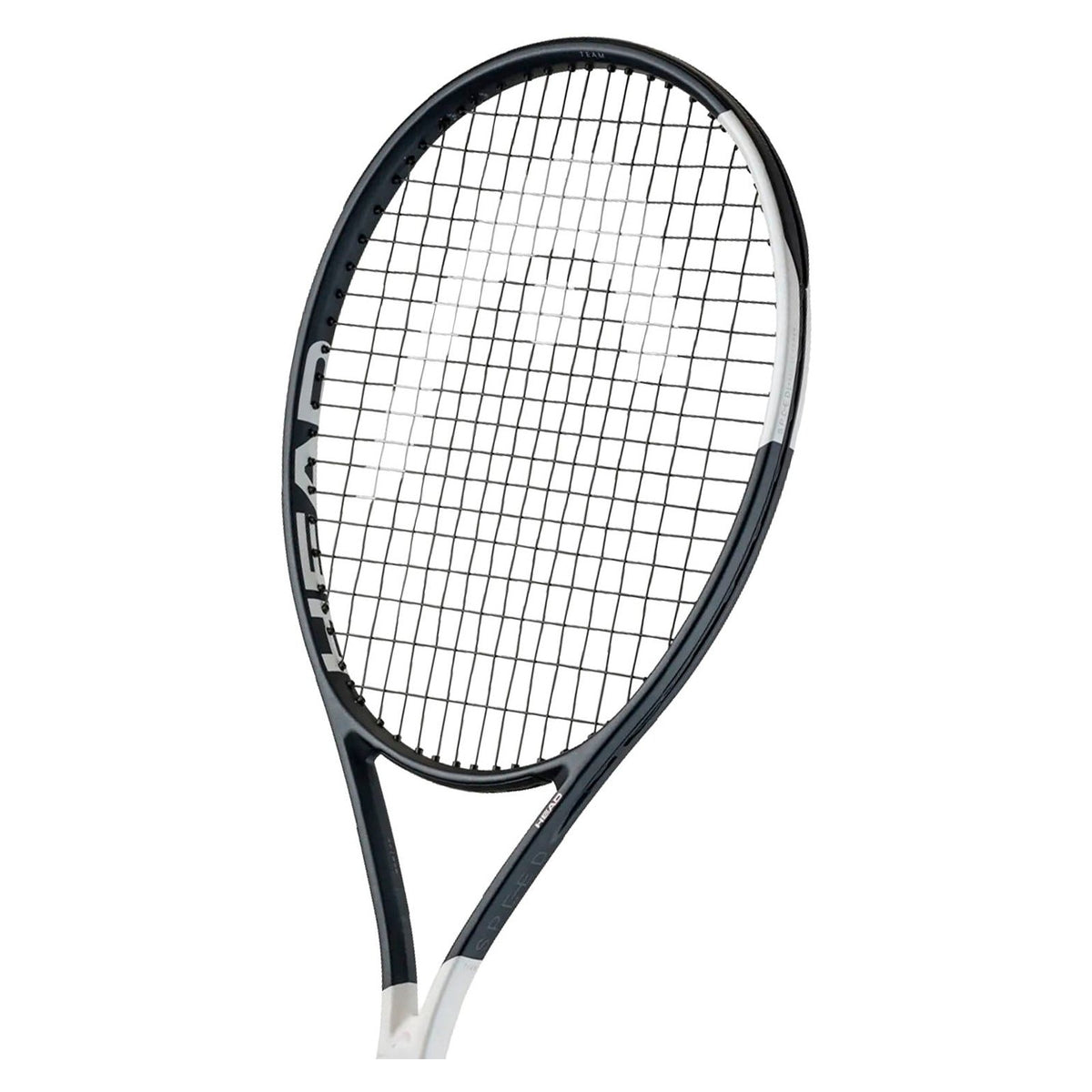 Head Speed Team 2026 (Cordée)