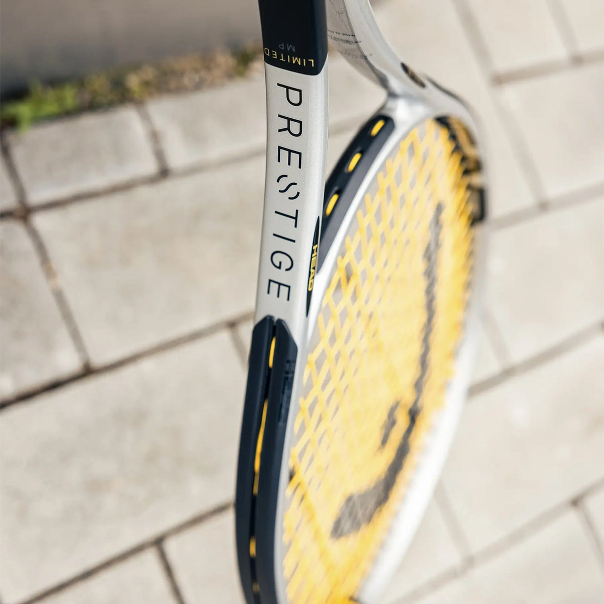Head Prestige MP Limited 2026
